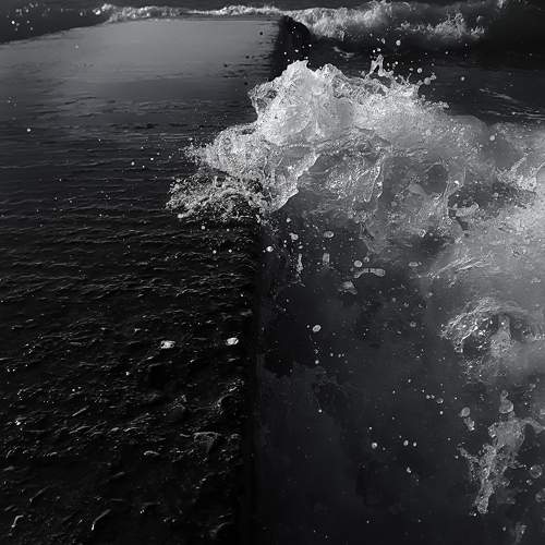 Photo #9414071