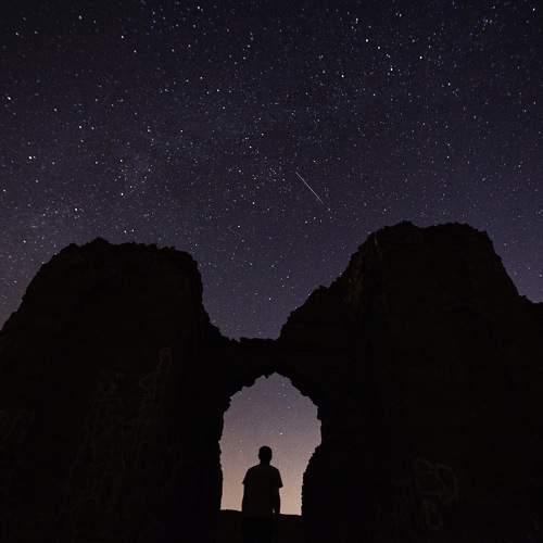 Photo #9414654