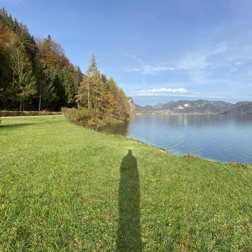 Photo #9414916