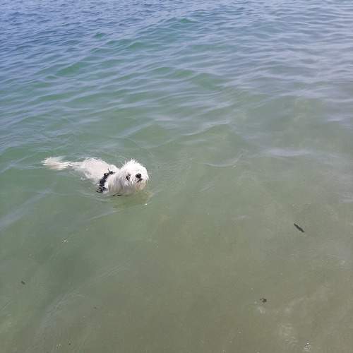Photo #9414957