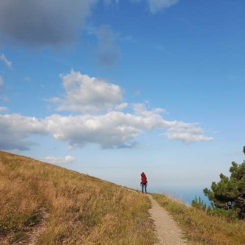 Photo #9415308