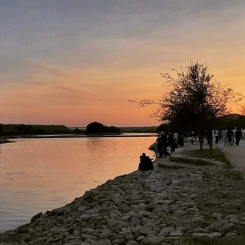Photo #9415707