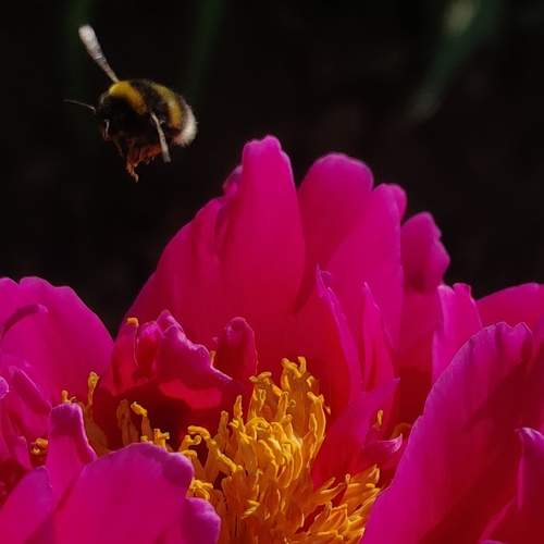 Photo #9416283