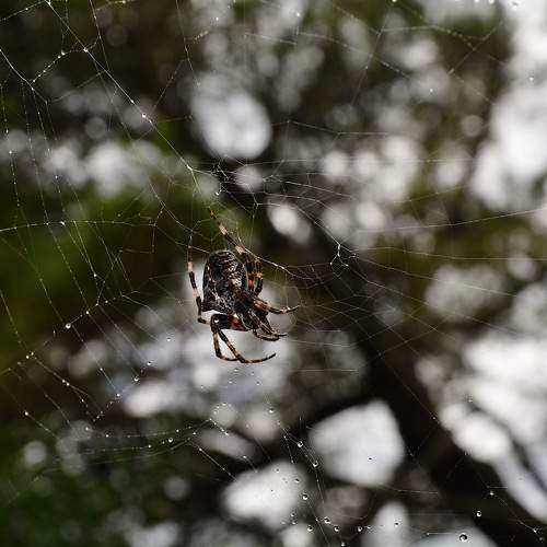 Photo #9416502