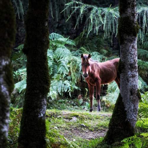 Photo #9416680