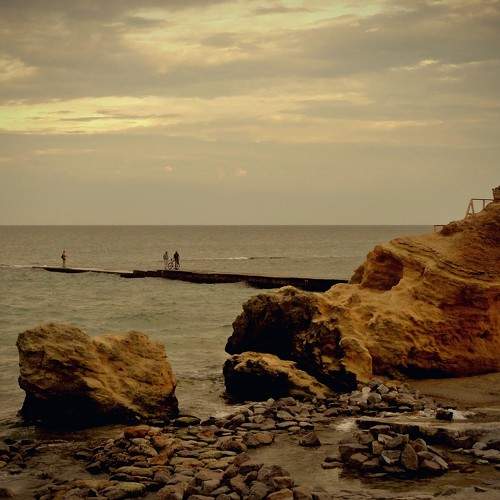 Photo #9417216