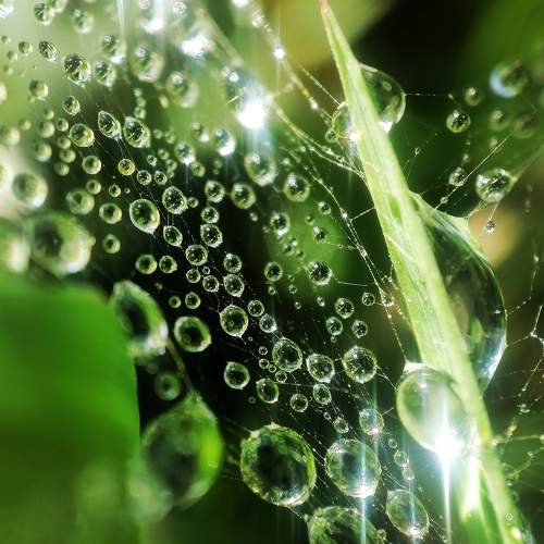 Photo #9417403