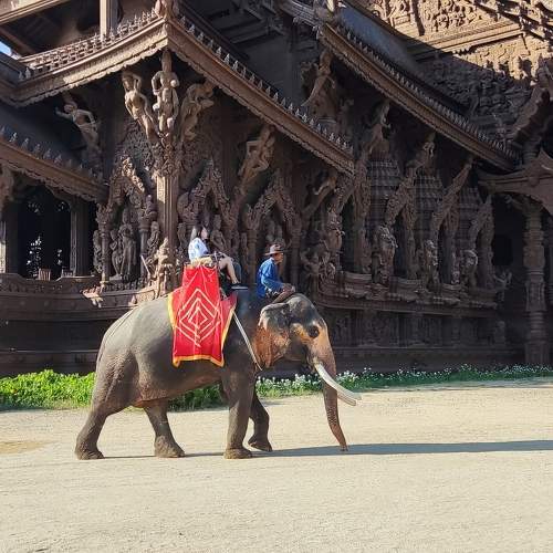 Photo #9417589