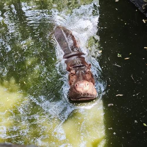 Photo #9417591