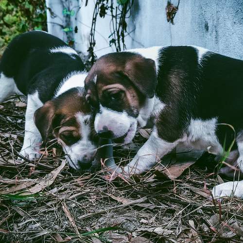 Photo #9418202