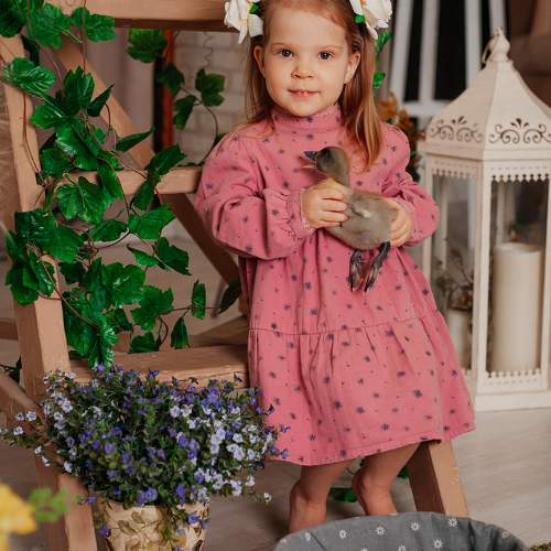 Photo #9419301