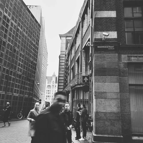 Photo #9419348