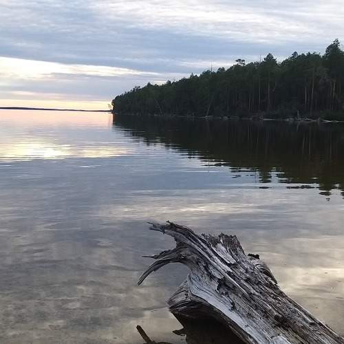 Photo #9419359