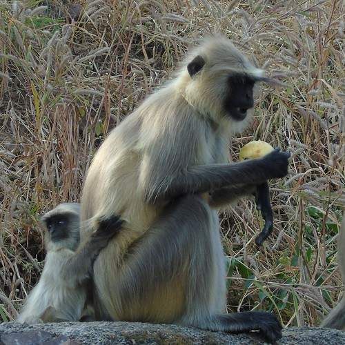 Photo #9419409