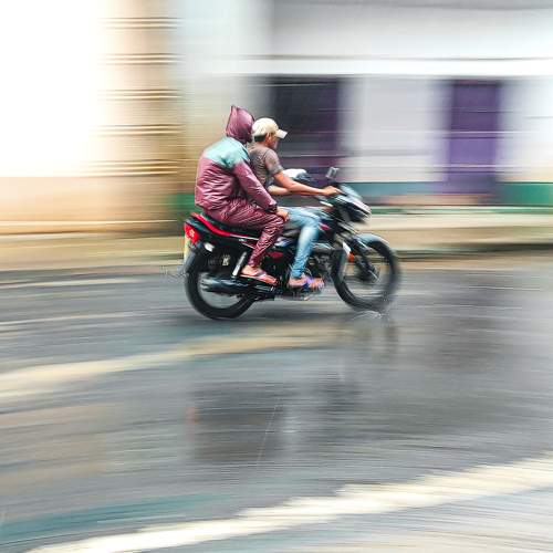 Photo #9420516
