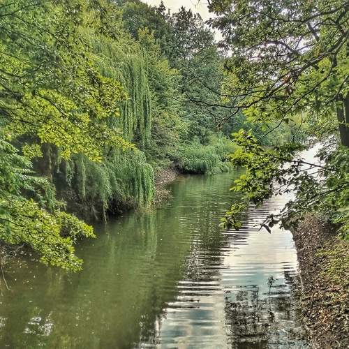 Photo #9420525