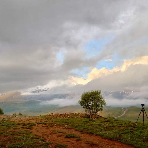 Photo #9420815