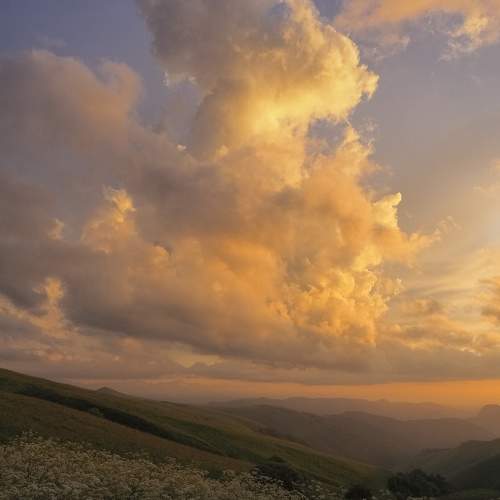 Photo #9420825