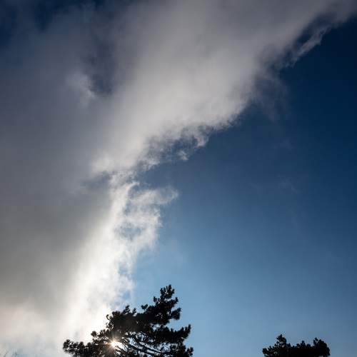Photo #9421311