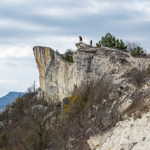 Photo #9421313