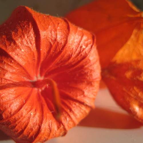 Photo #9422858
