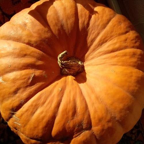 Photo #9422908