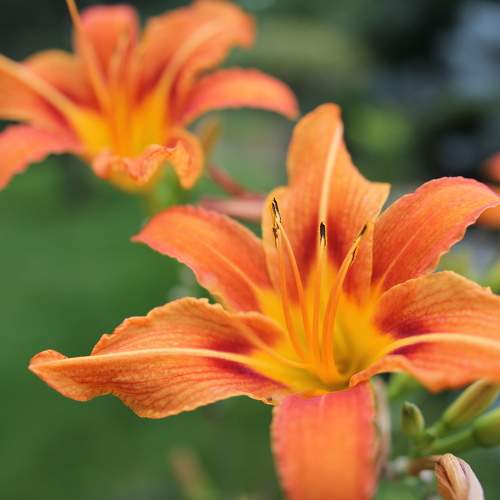 Photo #9423084