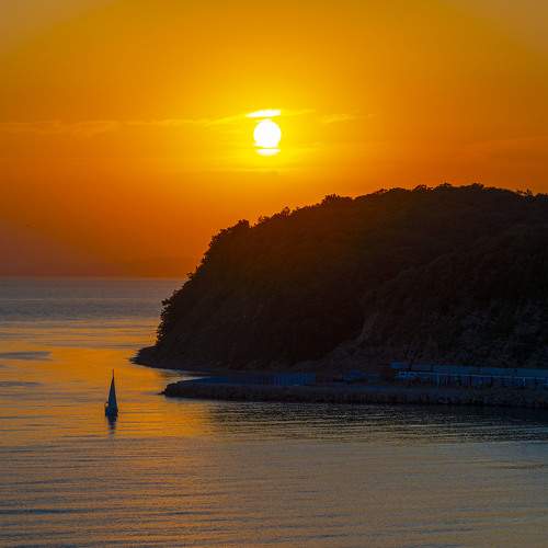Photo #9423179