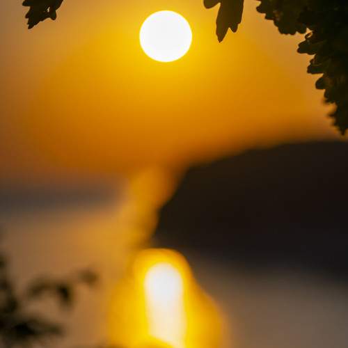 Photo #9423180