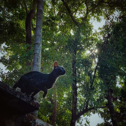 Photo #9424018