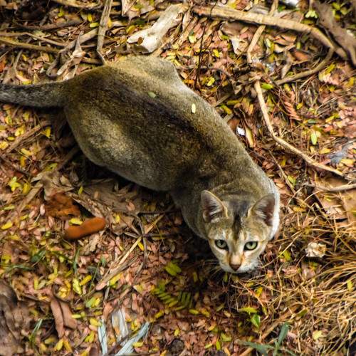 Photo #9424020