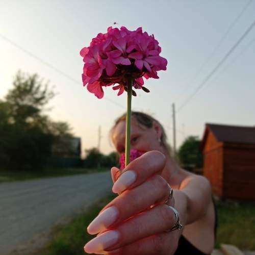 Photo #9424585