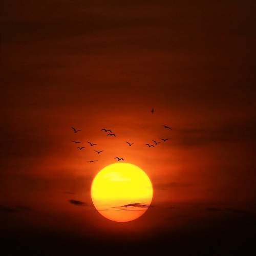 Photo #9424675