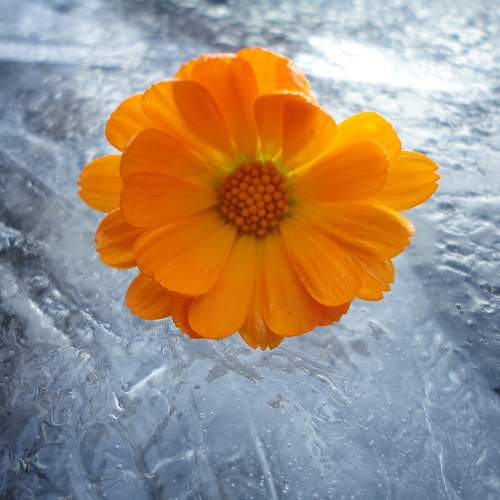 Photo #9424683