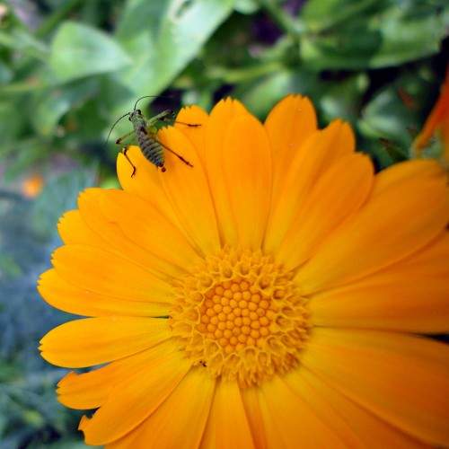 Photo #9424687