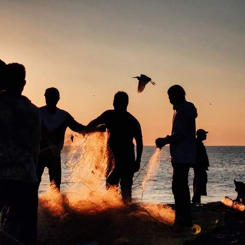 Photo #9424689