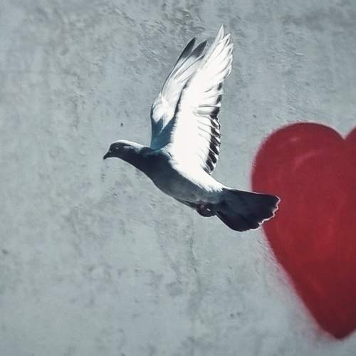 Photo #9424843
