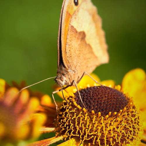 Photo #9424975
