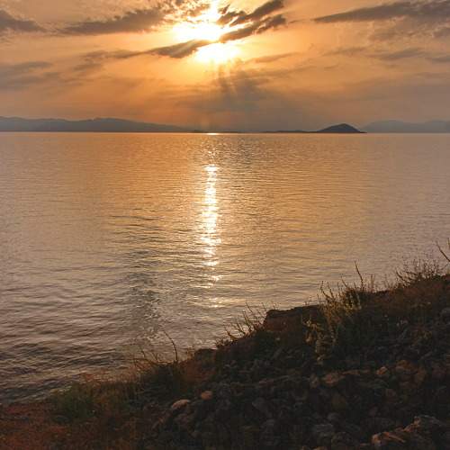 Photo #9425090