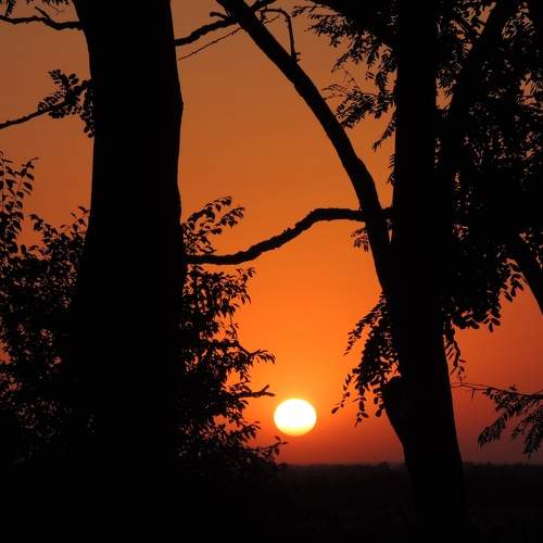 Photo #9425567