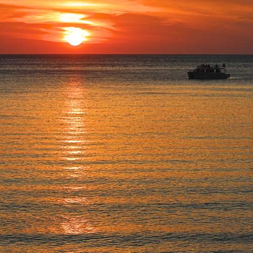 Photo #9425718
