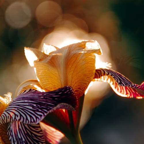 Photo #9425930