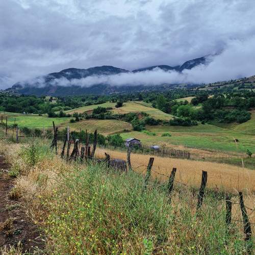 Photo #9426182
