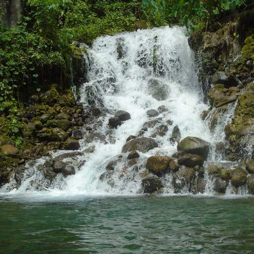 Photo #9426251