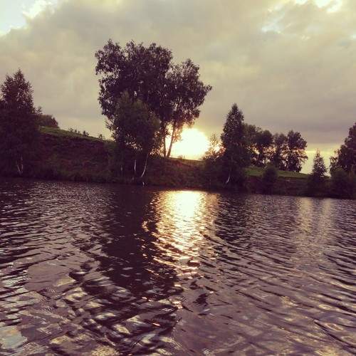 Photo #9426495