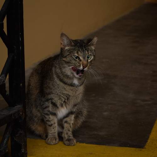 Photo #9427467