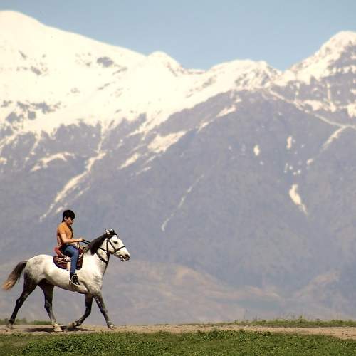 Mountain Rider