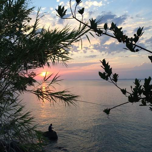 Photo #9428067