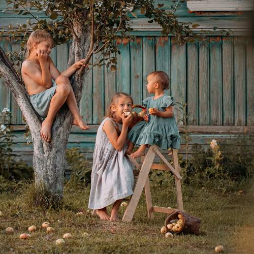 Photo #9428317