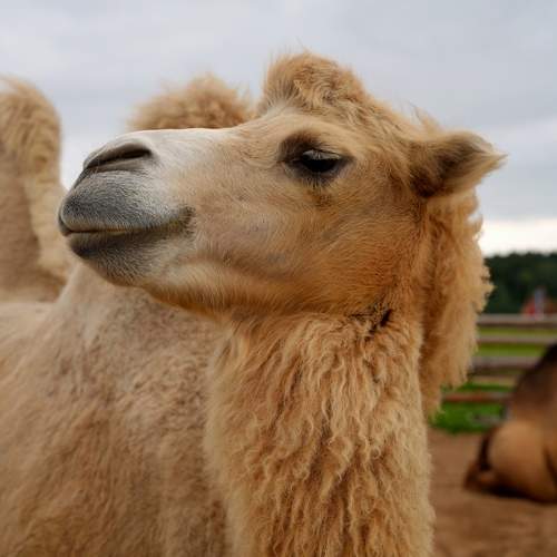 Photo #9428404